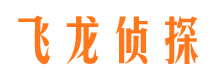 临县市侦探公司